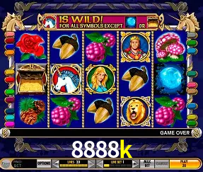VIP Casino 8888k